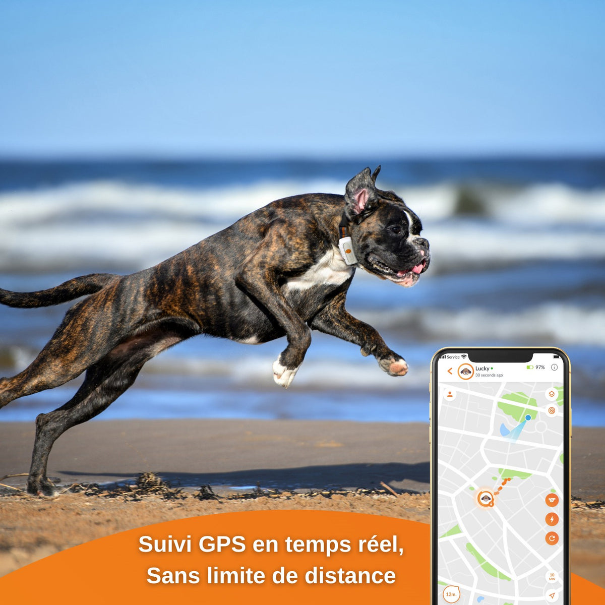 Collier GPS Weenect XS Dogs - Blanc