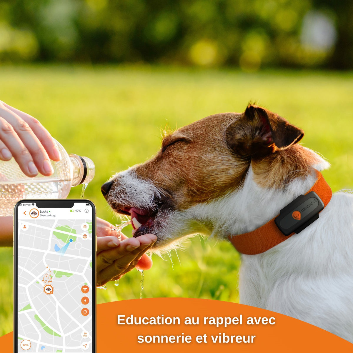 Collier GPS Weenect XS noir chien