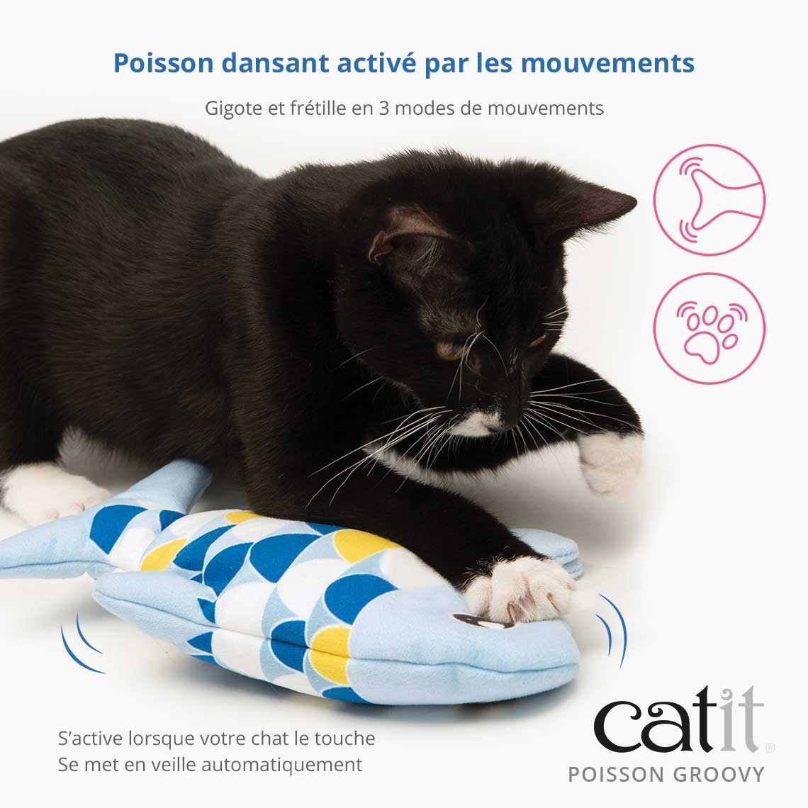 Poisson électronique Groovy chat