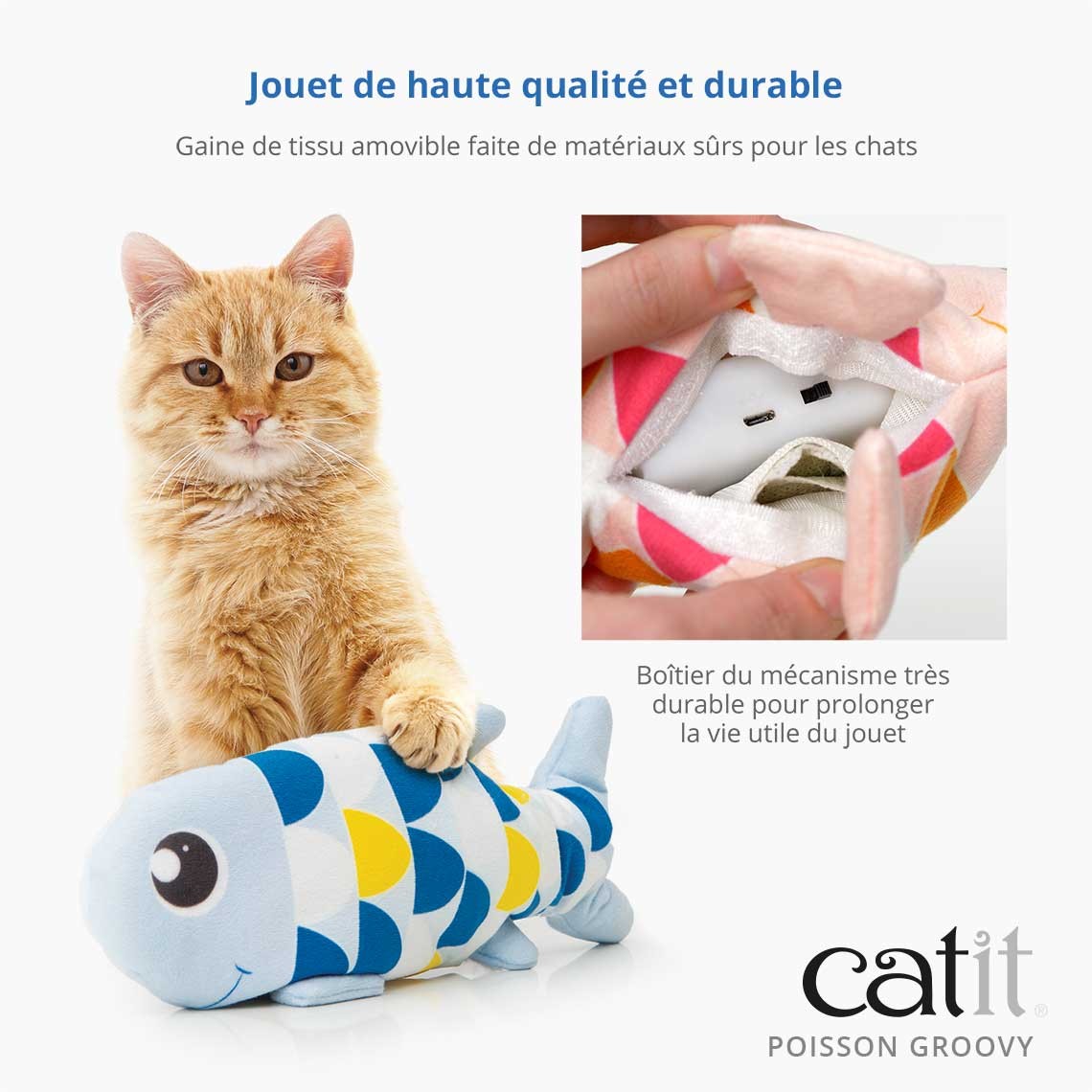 Poisson électronique Groovy chat