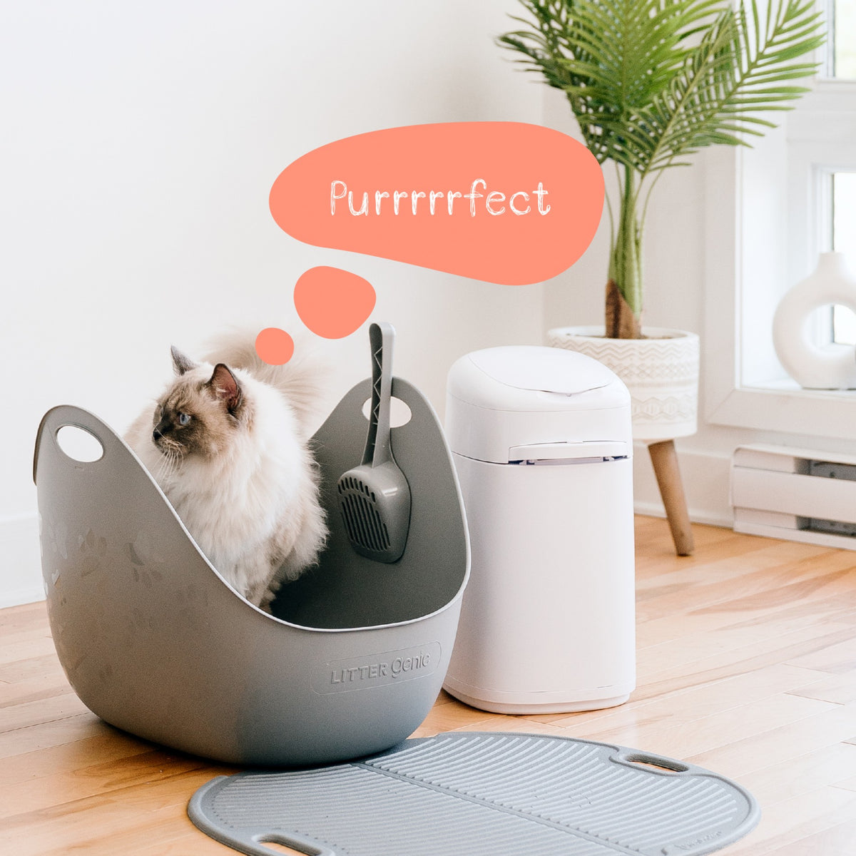 Bac à litière Litter Genie avec pelle Gris chat