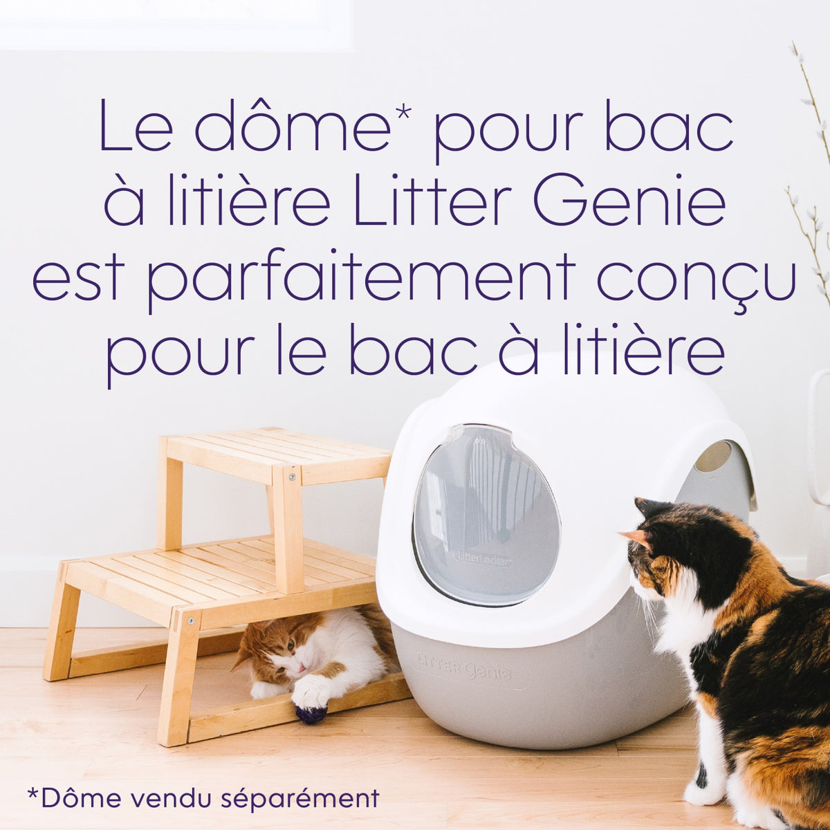 Bac à litière Litter Genie avec pelle Gris chat