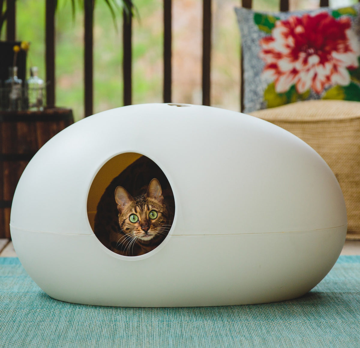 Maison de toilette Poopoopeedo chat