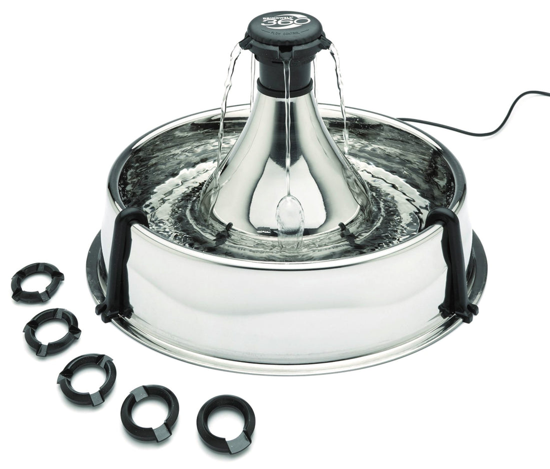 Fontaine Drinkwell Inox 360° 3.8L, chat, chien