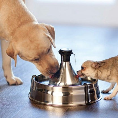 Fontaine Drinkwell Inox 360° 3.8L, chat, chien