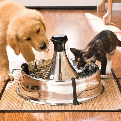 Fontaine Drinkwell Inox 360° 3.8L, chat, chien