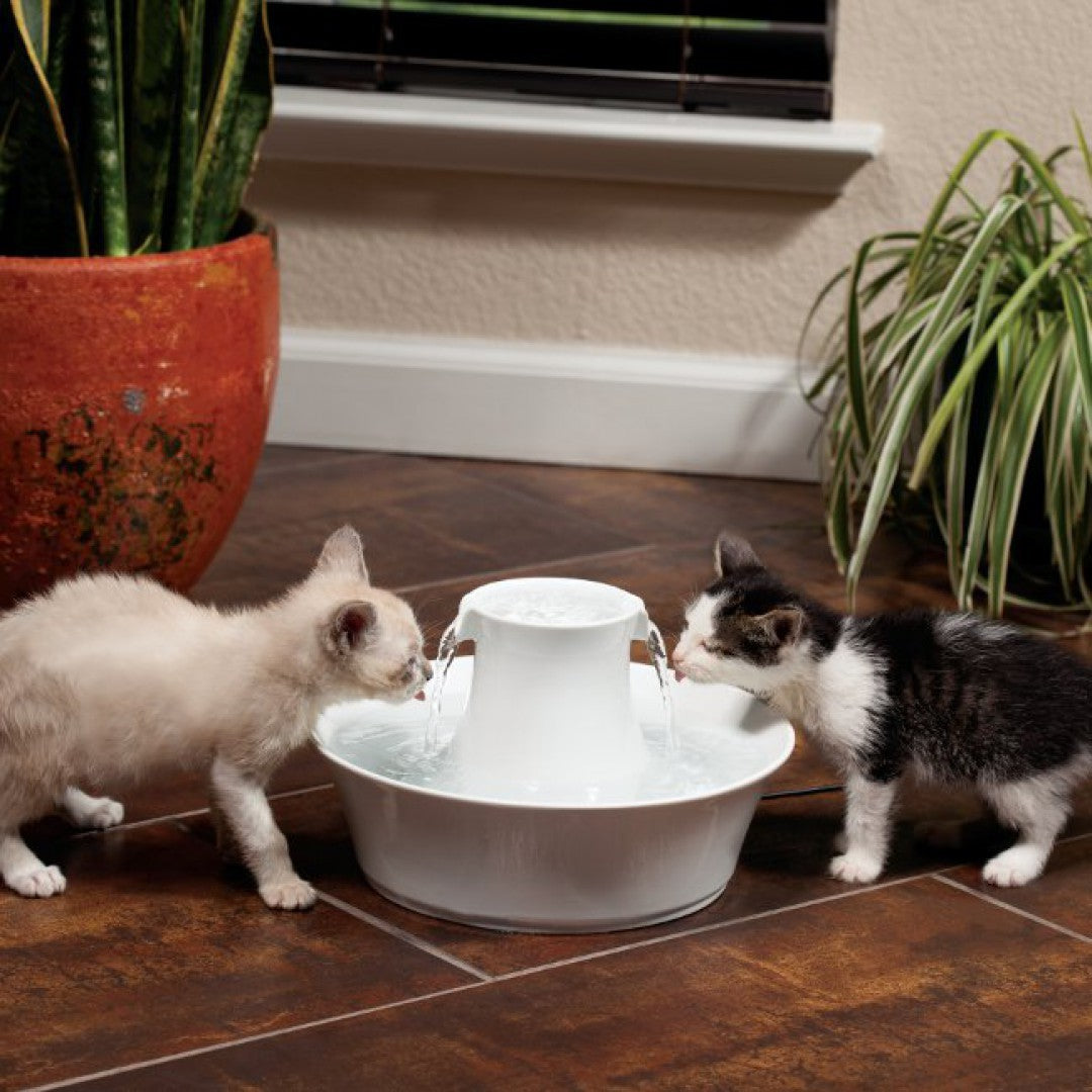 Fontaine Drinkwell Avalon céramique 2L chat, chien