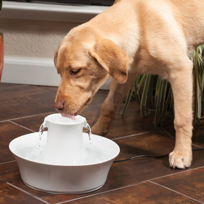 Fontaine Drinkwell Avalon céramique 2L chat, chien