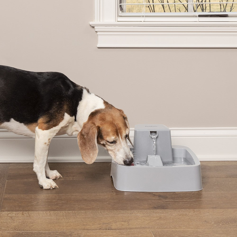Fontaine Drinkwell PWW19 chat, chien