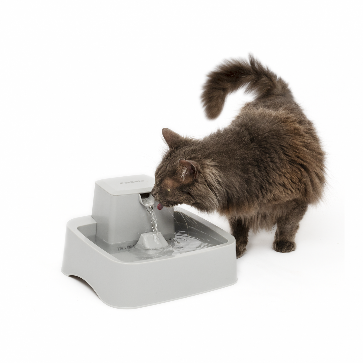 Fontaine Drinkwell PWW19 chat, chien
