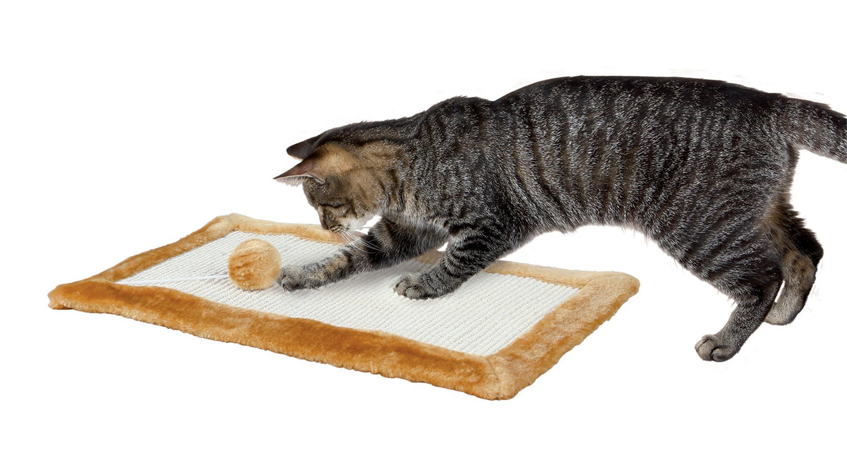Trixie tapis griffoir avec balle et bords en peluche chat