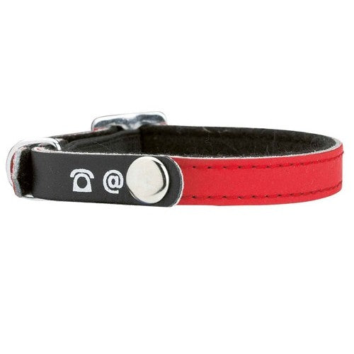 Collier porte-adresse réfléchissant chat, chien