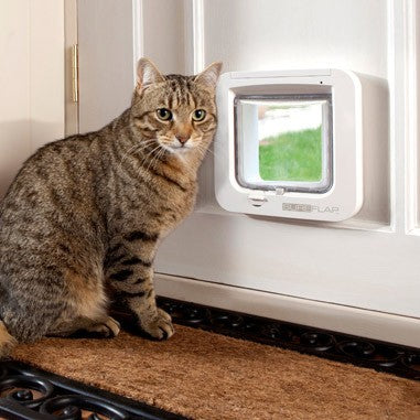 Chatière électronique chat