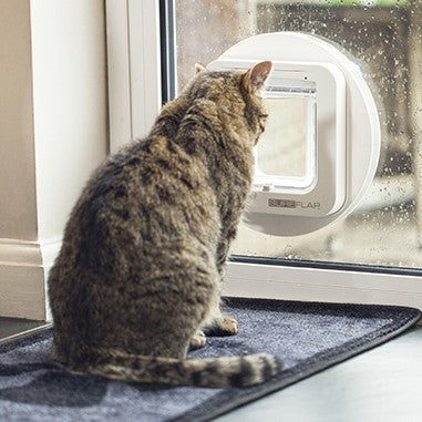 Chatière électronique chat