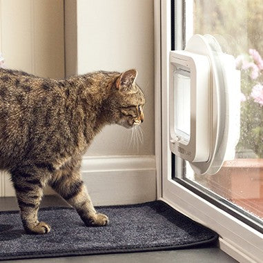 Chatière électronique chat