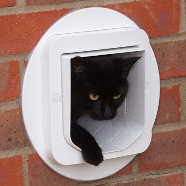 Chatière électronique chat