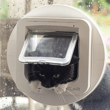 Chatière électronique chat