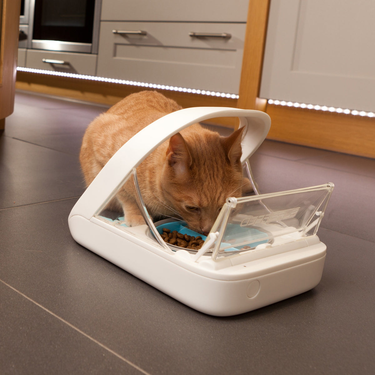 Distributeur électronique SureFeed - chat, chien