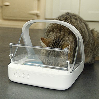 Distributeur électronique SureFeed - chat, chien
