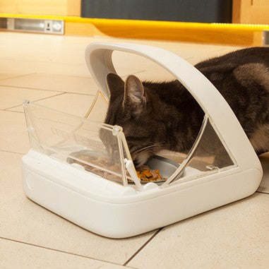 Distributeur électronique SureFeed - chat, chien
