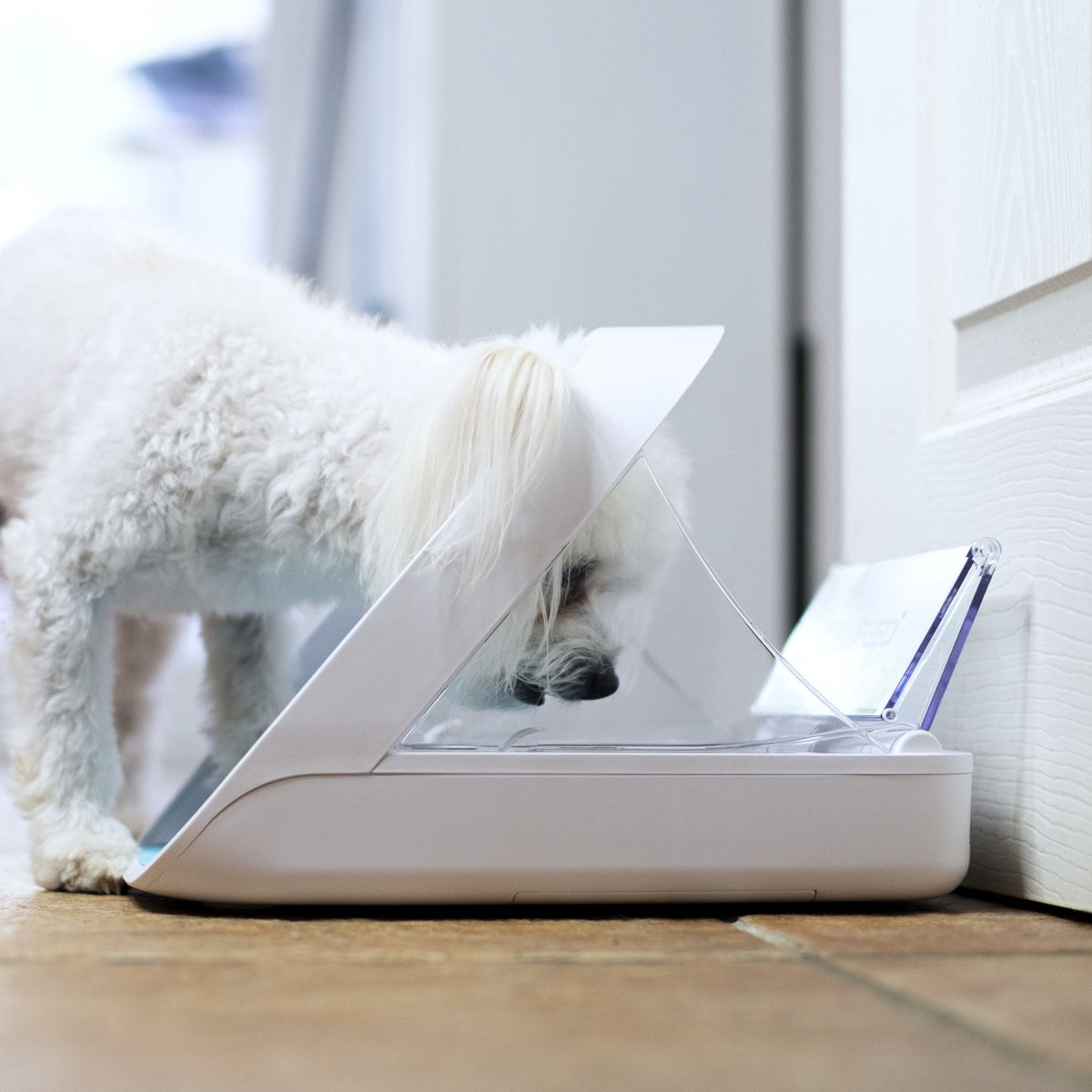 Distributeur électronique SureFeed - chat, chien