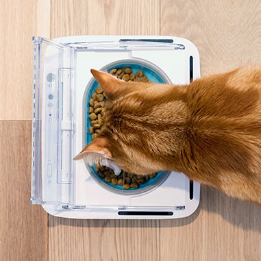 Gamelle hermétique chien, chat