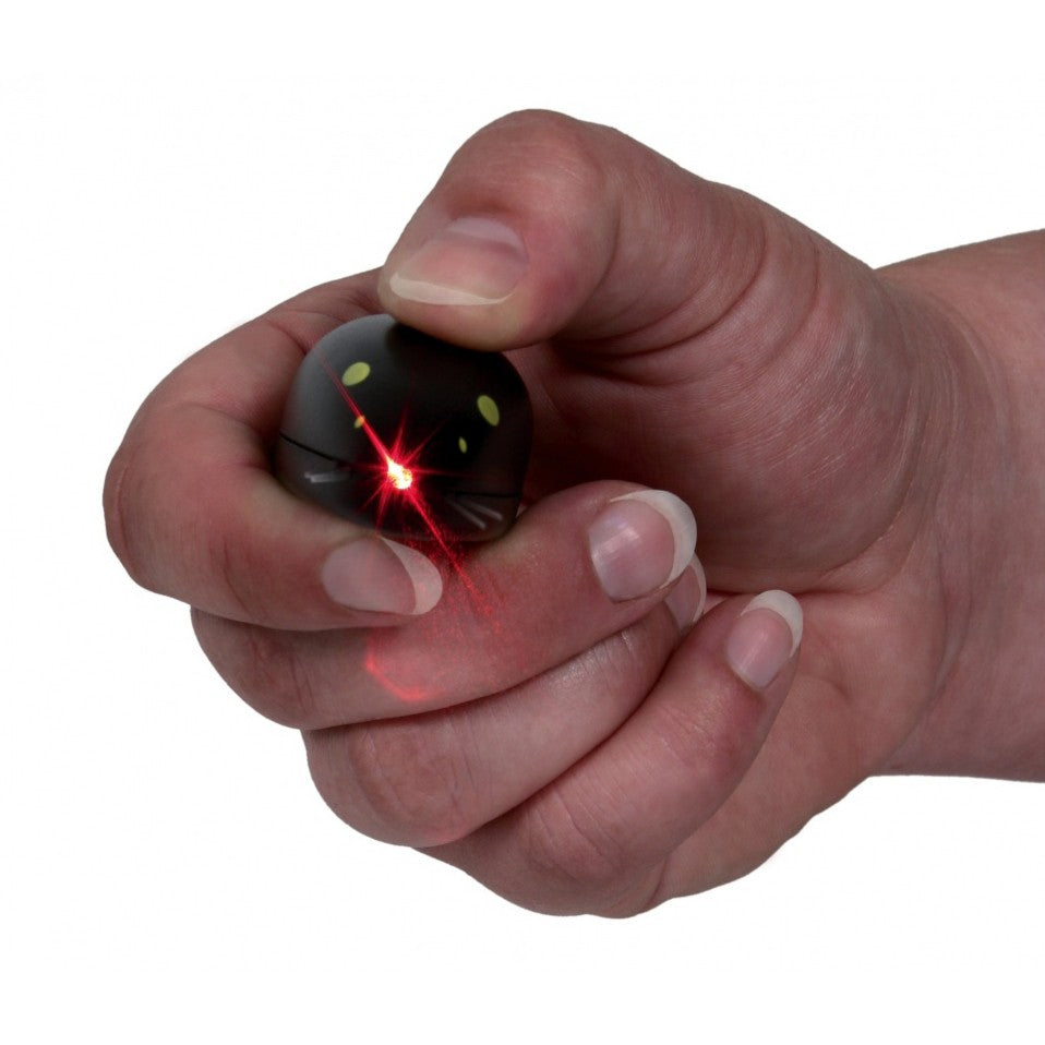 Souris Laser Catch The Light chat