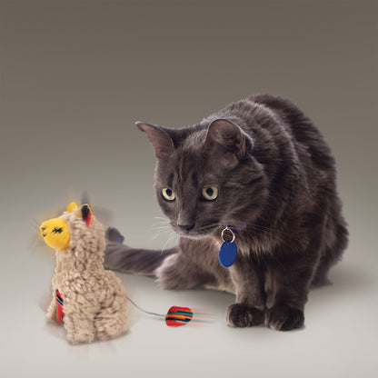 Peluche Softies Buzzy Lama Kong chat