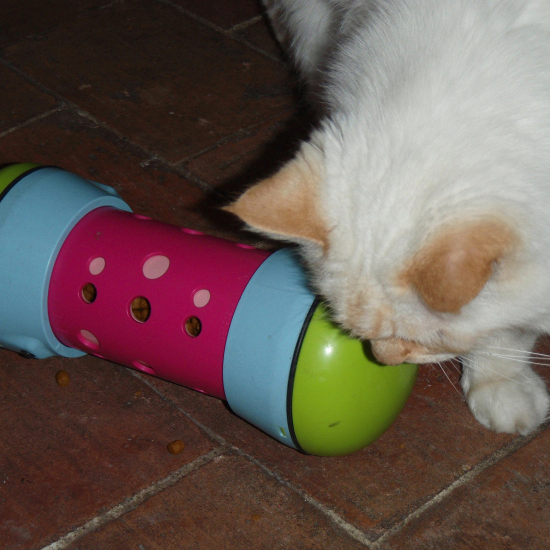 Jouet distributeur anti-anxiété Pipolino pour chat et chien
