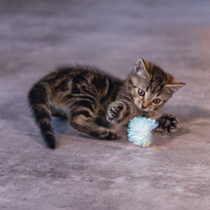 Lot de 4 balles froissées chat, chaton