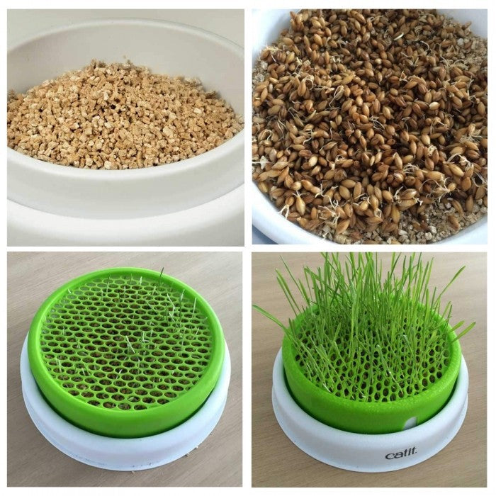 Circuit Bee Play &amp; Garden