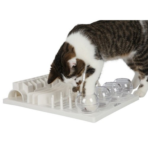 Jouet éducatif Fun Board chat