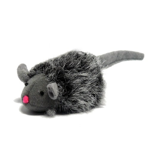 Souris couinante chat