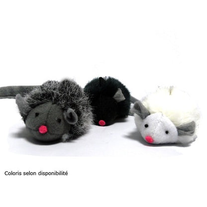 Souris couinante chat