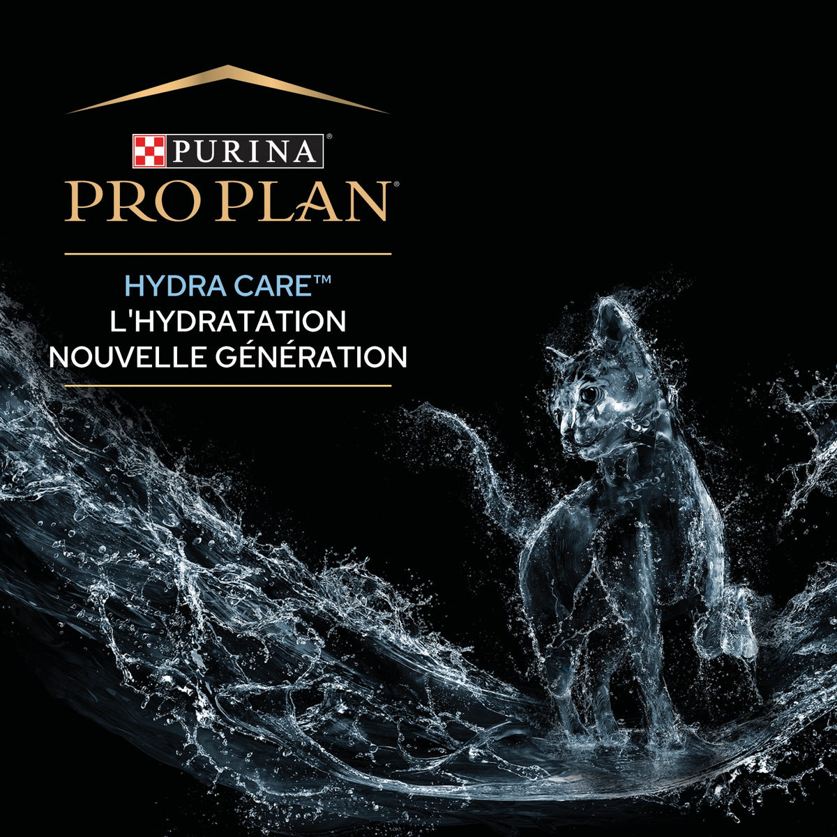 Pro Plan Hydra Care chat