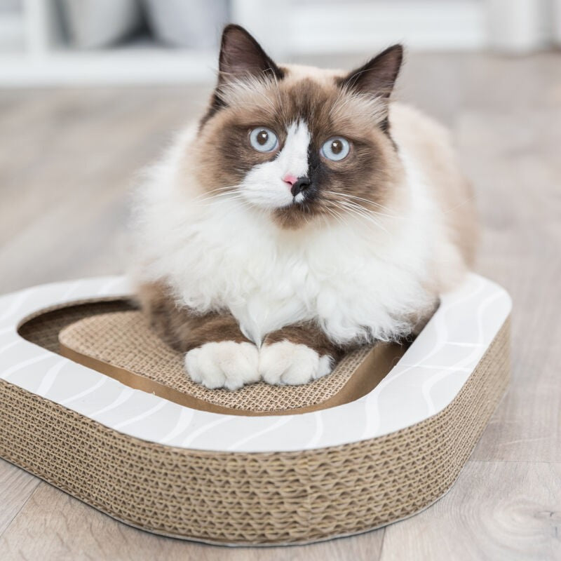 Griffoir carton avec balles chat