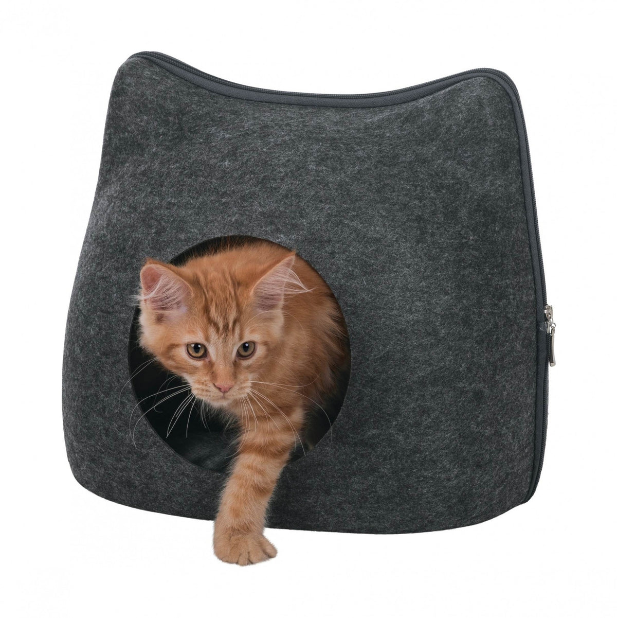 Abri douillet Cat chat