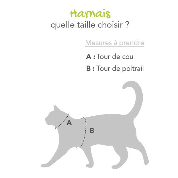 Parure harnais et laisse Flash chat