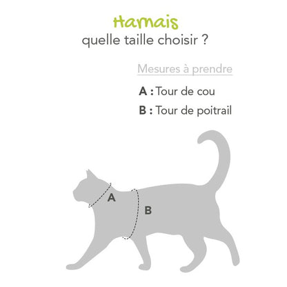Parure harnais et laisse Flash chat