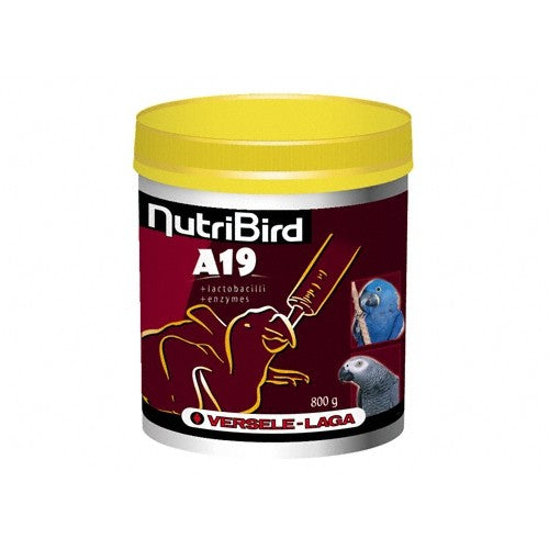 Nutribird A19 oisillons