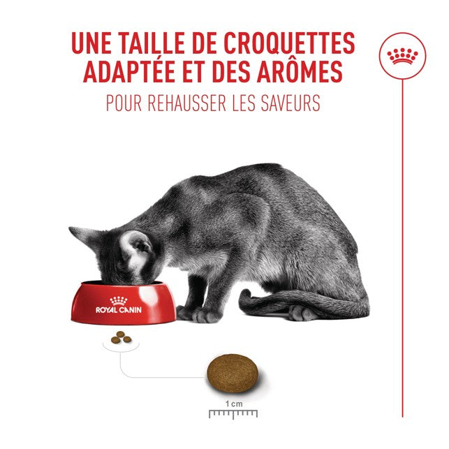 Royal Canin Fussy Exigent - croquettes chat