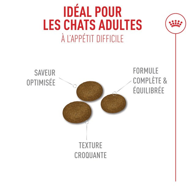 Royal Canin Fussy Exigent - croquettes chat