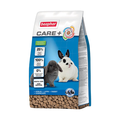 Care + Lapin