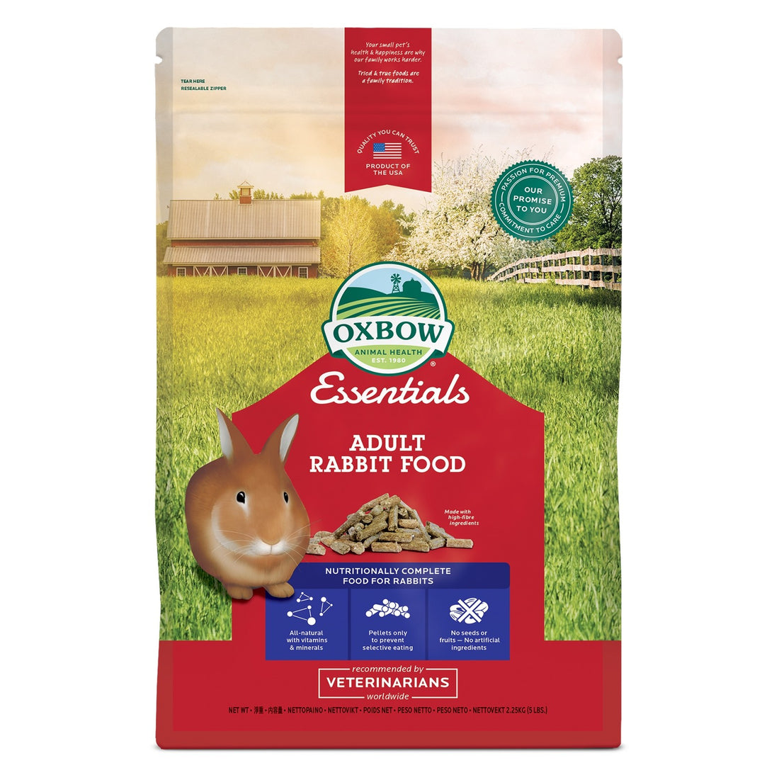 Adult Bunny Basics lapin