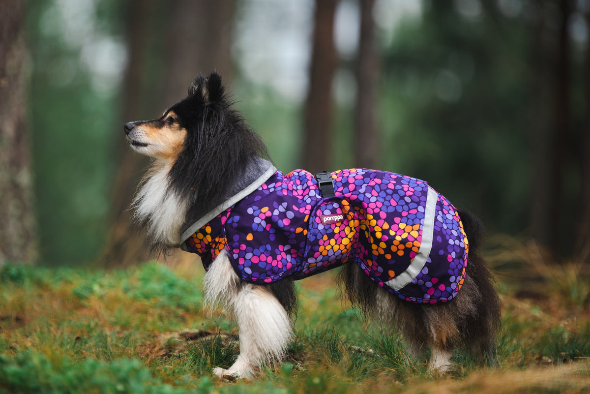 Pomppa Kevyt Cosmos manteau imperméable chien