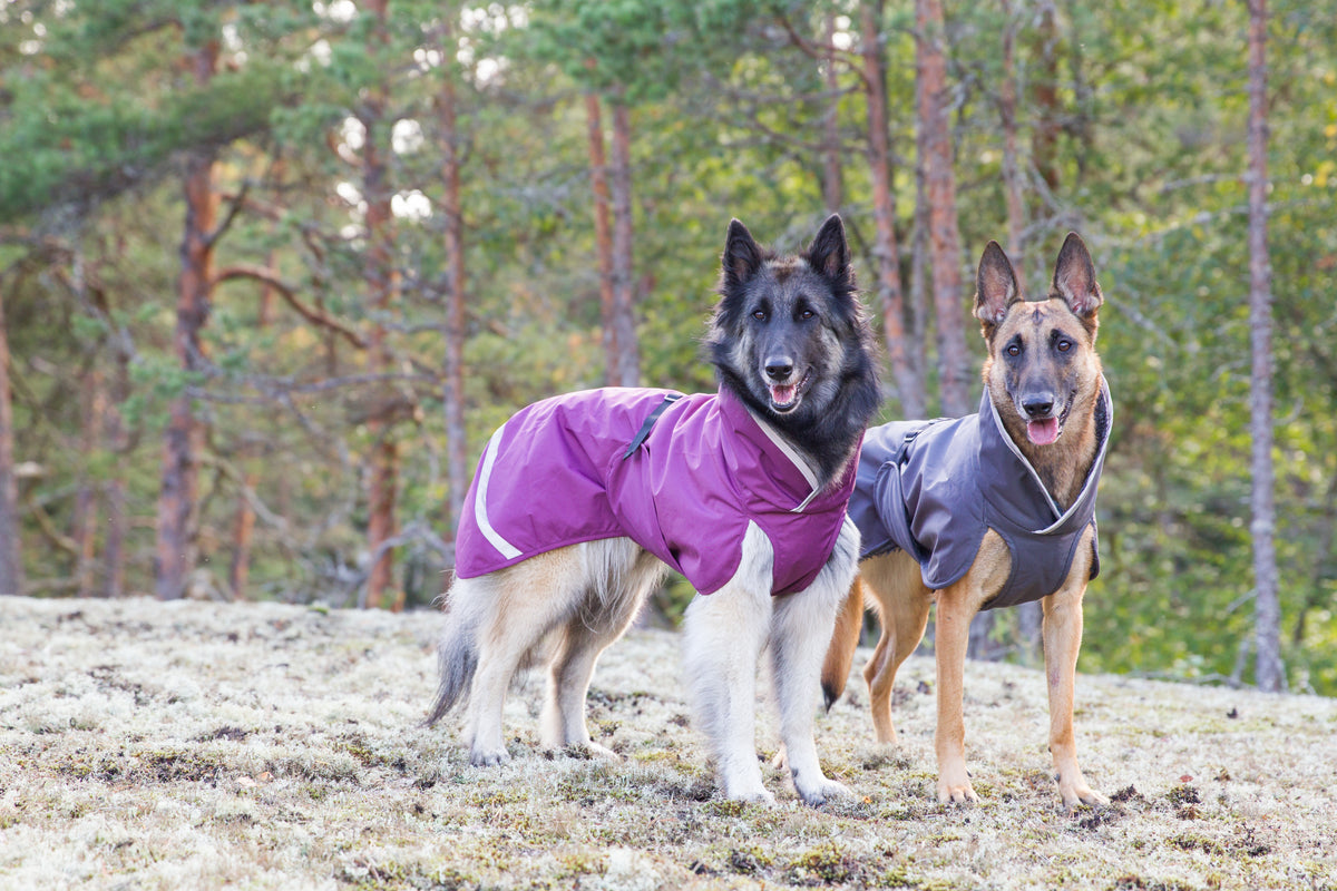 Pomppa Kevyt Plum manteau imperméable chien