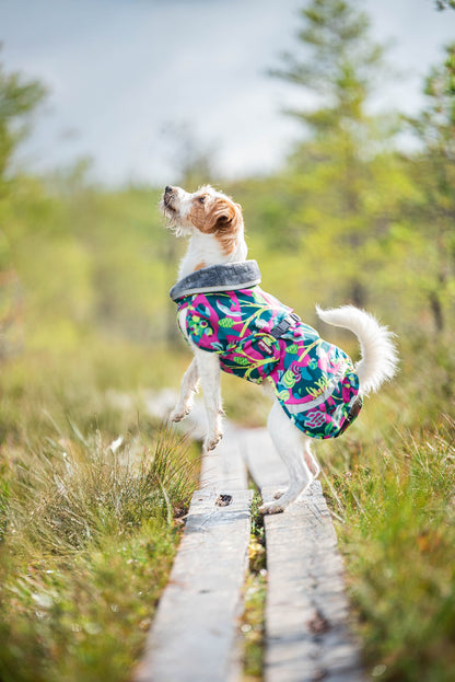 Pomppa Kevyt Trail manteau imperméable chien