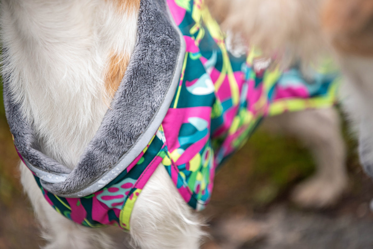 Pomppa Kevyt Trail manteau imperméable chien