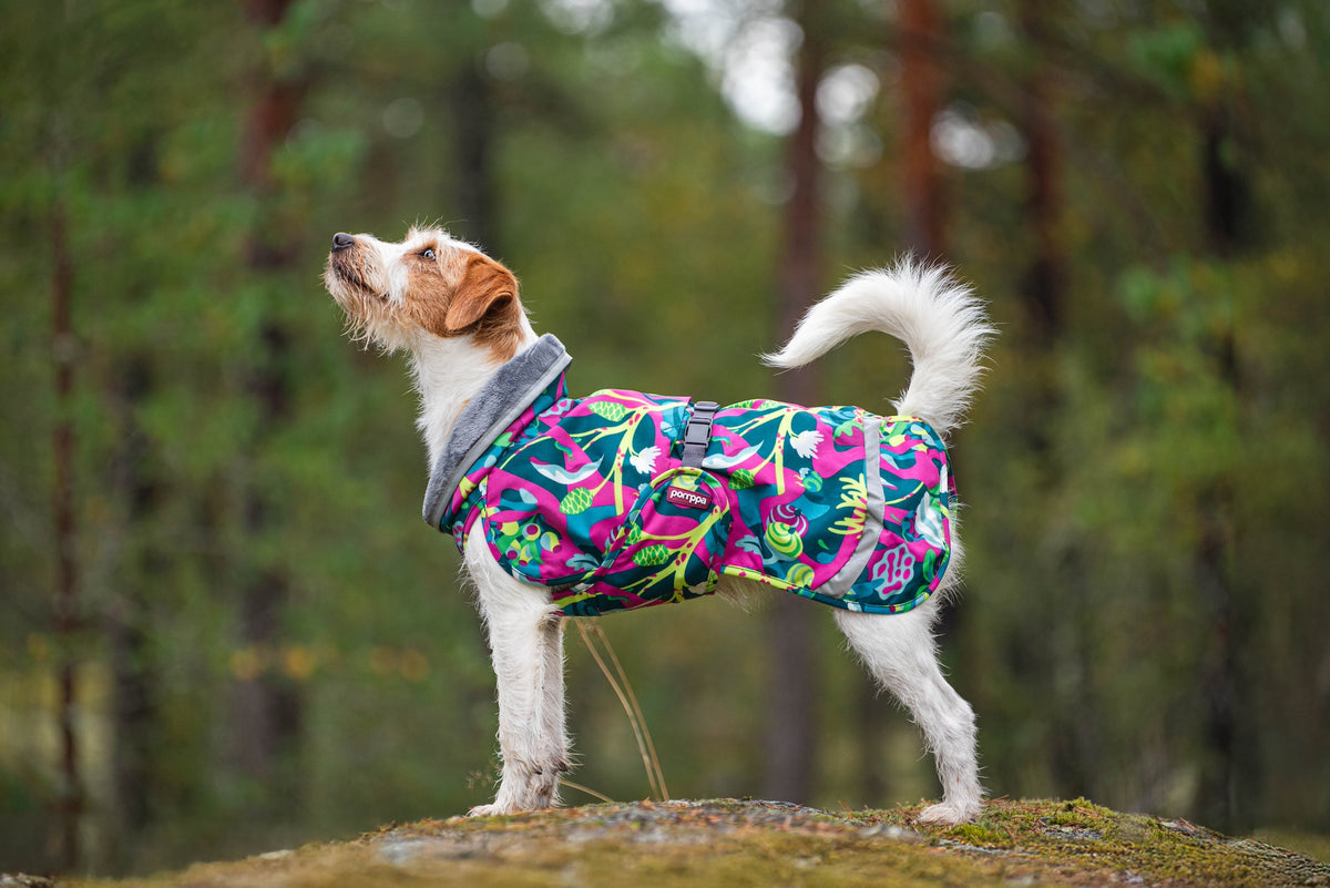 Pomppa Kevyt Trail manteau imperméable chien
