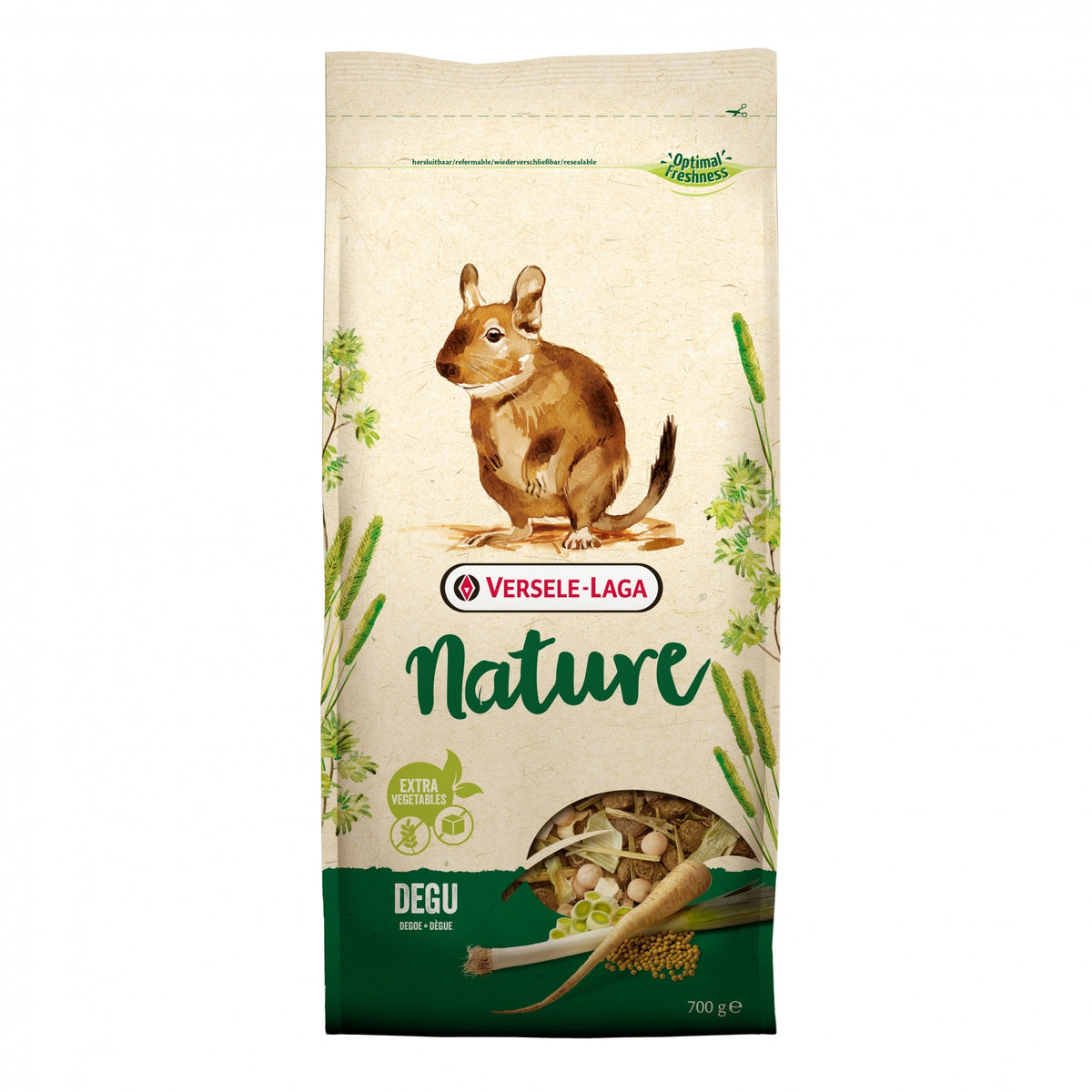 Nature Degu dègue du Chili